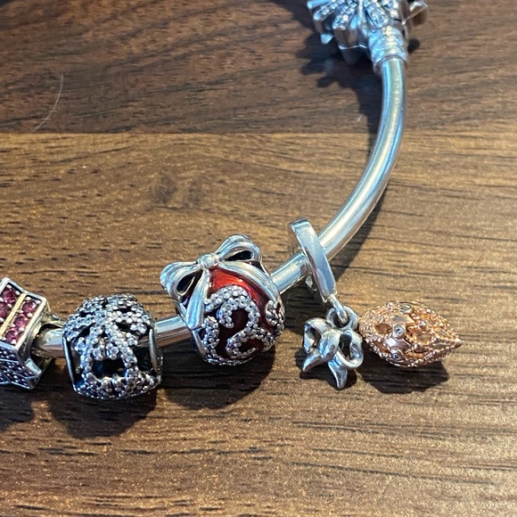PANDORA CHRISTMAS SPECIAL EDITION CHARM BRACELET! - Picture 4 of 5